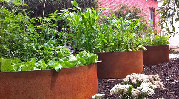 RING 580 X 290MM REDCOR - Stonemans Garden Centre