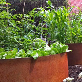 FormBoss Garden Rings