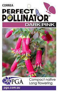 CORREA PERFECT POLLINATOR