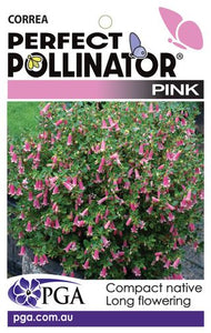 CORREA PERFECT POLLINATOR