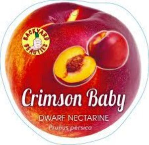 PRE ORDER - NECTARINE DWARF CRIMSON BABY - Bare Rooted