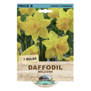 Packaging of Daffodil bulbs with yellow flowers on a white background