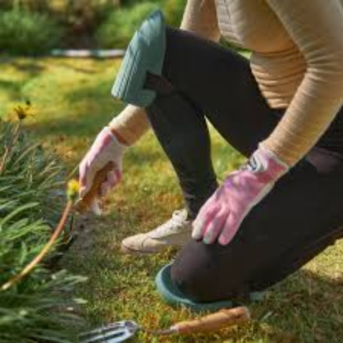 Person planting a tree in a garden