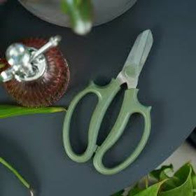 Green scissors on a dark surface with green leaves