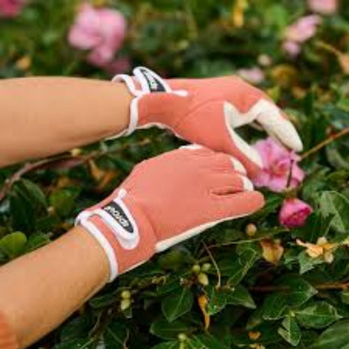 Person wearing gardening gloves interacting with plants and flowers