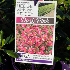 plant label