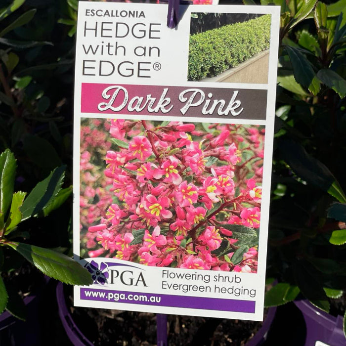 plant label