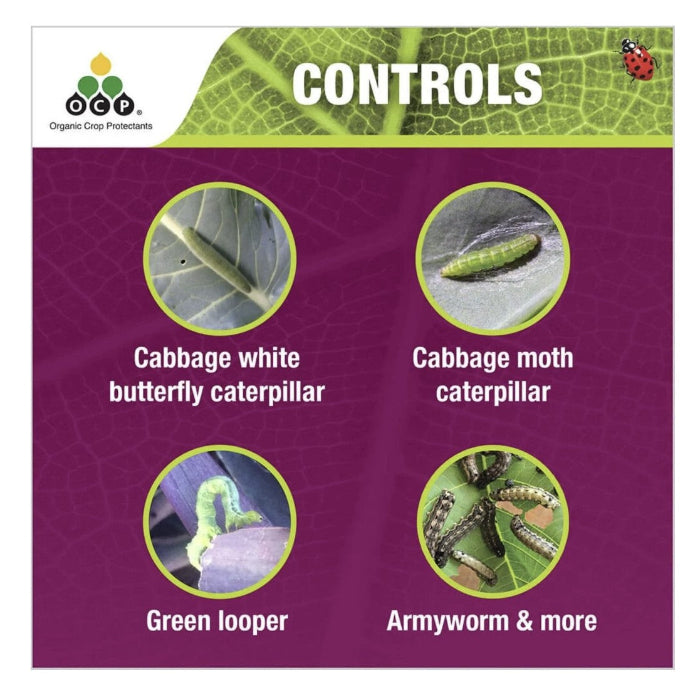 Product packaging for pest controls with images of caterpillars and text on a purple background.