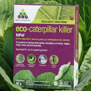 Box of eco-caterpillar killer with green and purple design on a white background