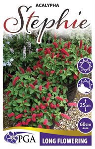 Acalypha 'Stephie' plant with red flowers and green leaves, labeled with PGA logo and product details.