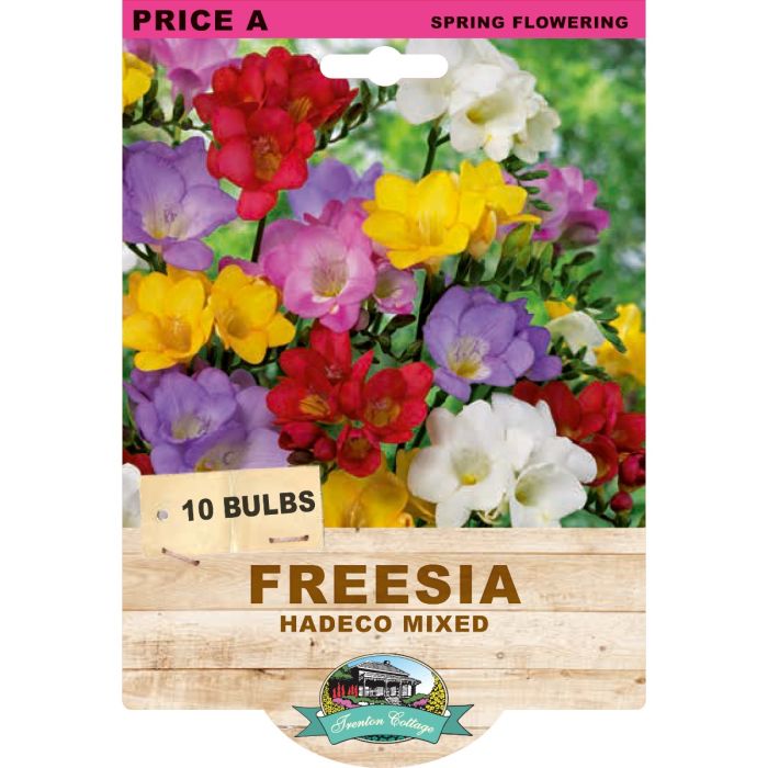 Freesia bulb package with colorful flowers and branding on a white background