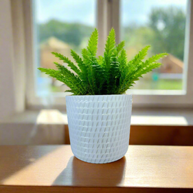 Indoor Pots