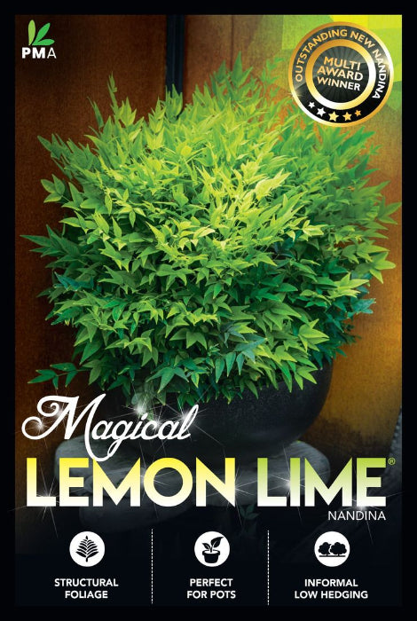 Potted plant with 'Magical Lemon Lime' Nandina branding on a dark background