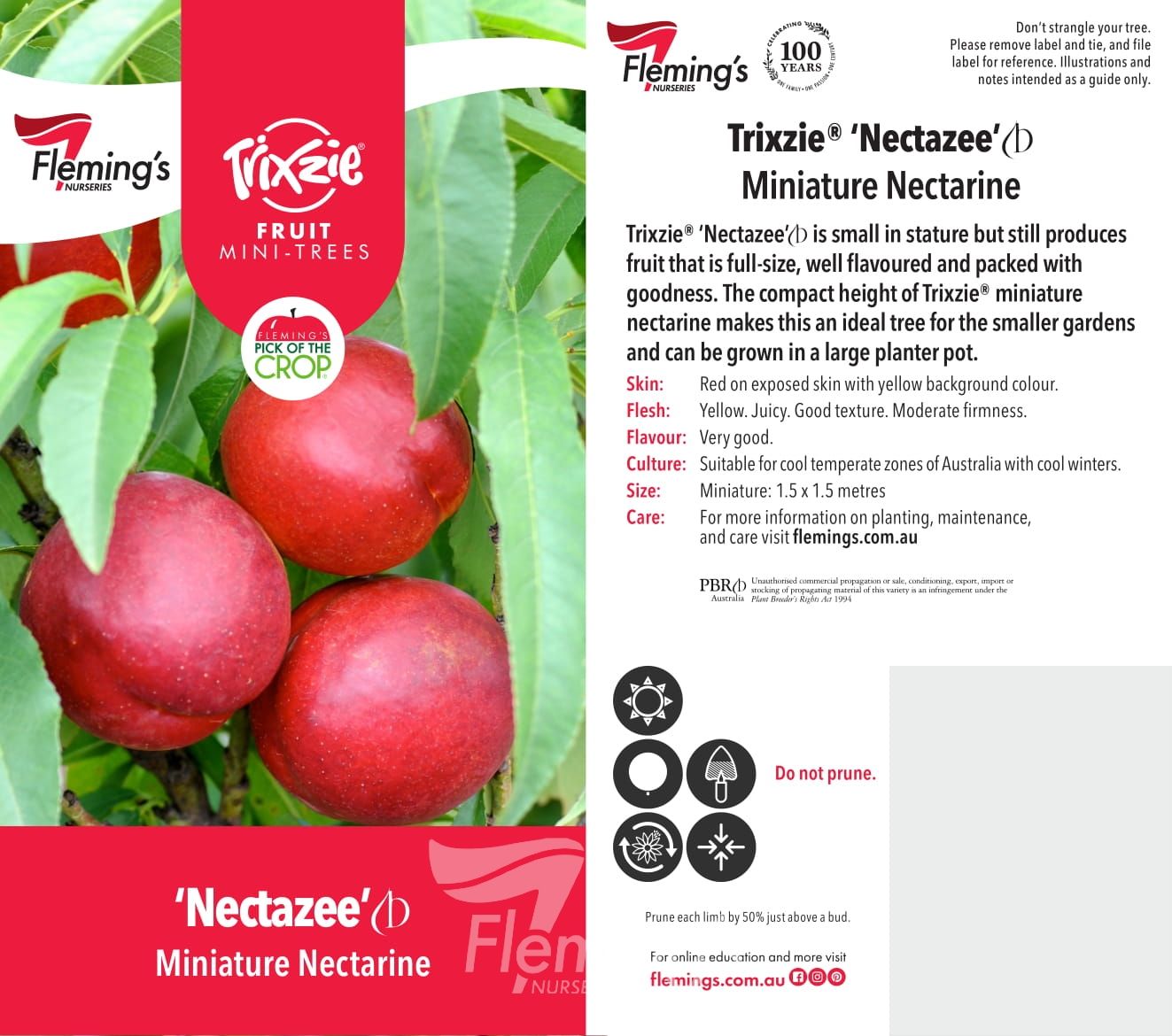 PRE ORDER - NECTARINE TRIXZIE NECTAZEE - Bare Rooted