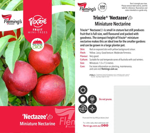 PRE ORDER - NECTARINE TRIXZIE NECTAZEE - Bare Rooted