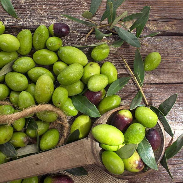 Green olives with a wooden scoop on a rustic wooden surface