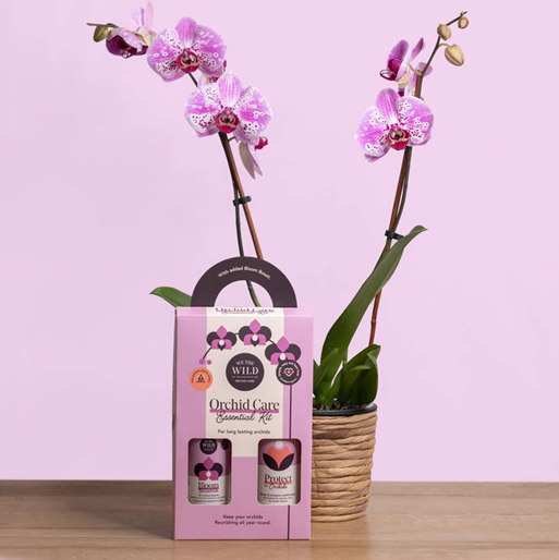 ORCHID DUO - WE THE WILD