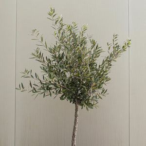 Artificial olive tree against a neutral wall