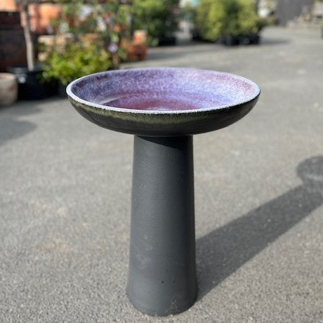 MAESTRO BIRD BATH PURPLE MIST