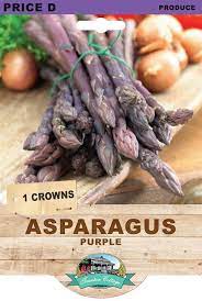 ASPARAGUS PURPLE 1PK