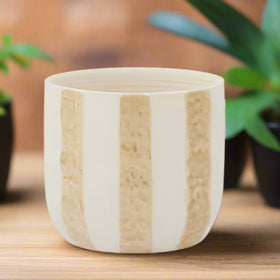 Stylish ceramic Plant pot 