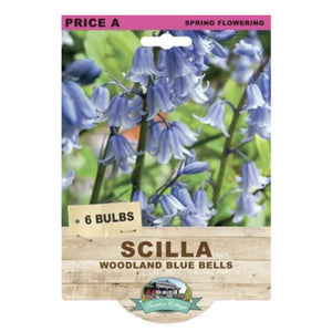 Scilla bulb package with blue flowers and branding on a white background