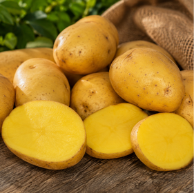 Fresh yellow potatoes, including whole tubers and sliced halves showing bright yellow flesh, arranged on a rustic wooden surface with green leaves and burlap in the background.