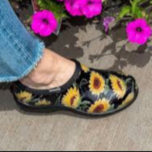 SPLASH SUNFLOWER SZ 7