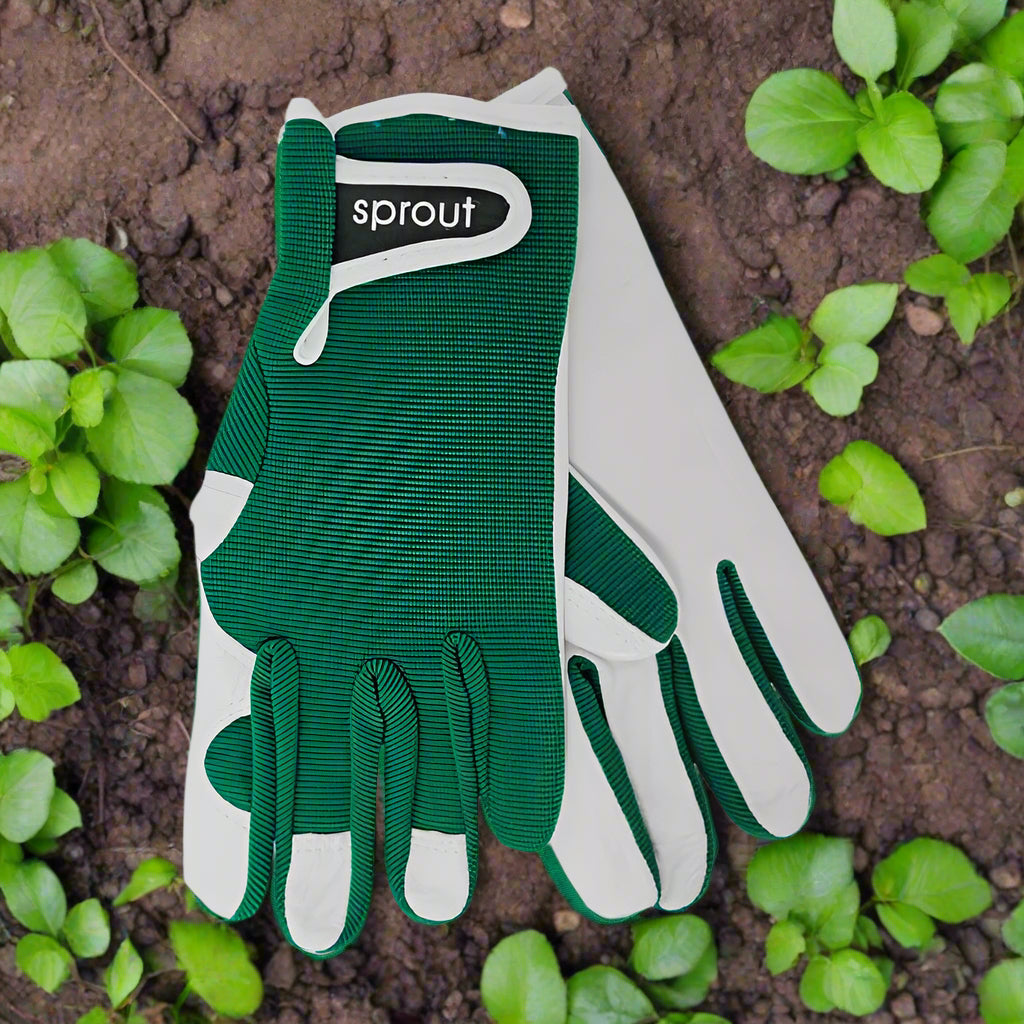 SMOKE PINE SPROUT GOATSKIN GLOVES