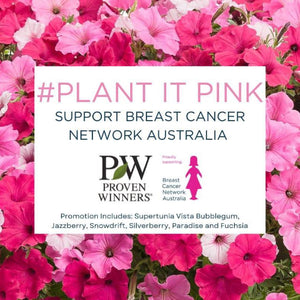 Floral design with 'Plant It Pink' text and Proven Winners logo, supporting Breast Cancer Network Australia.