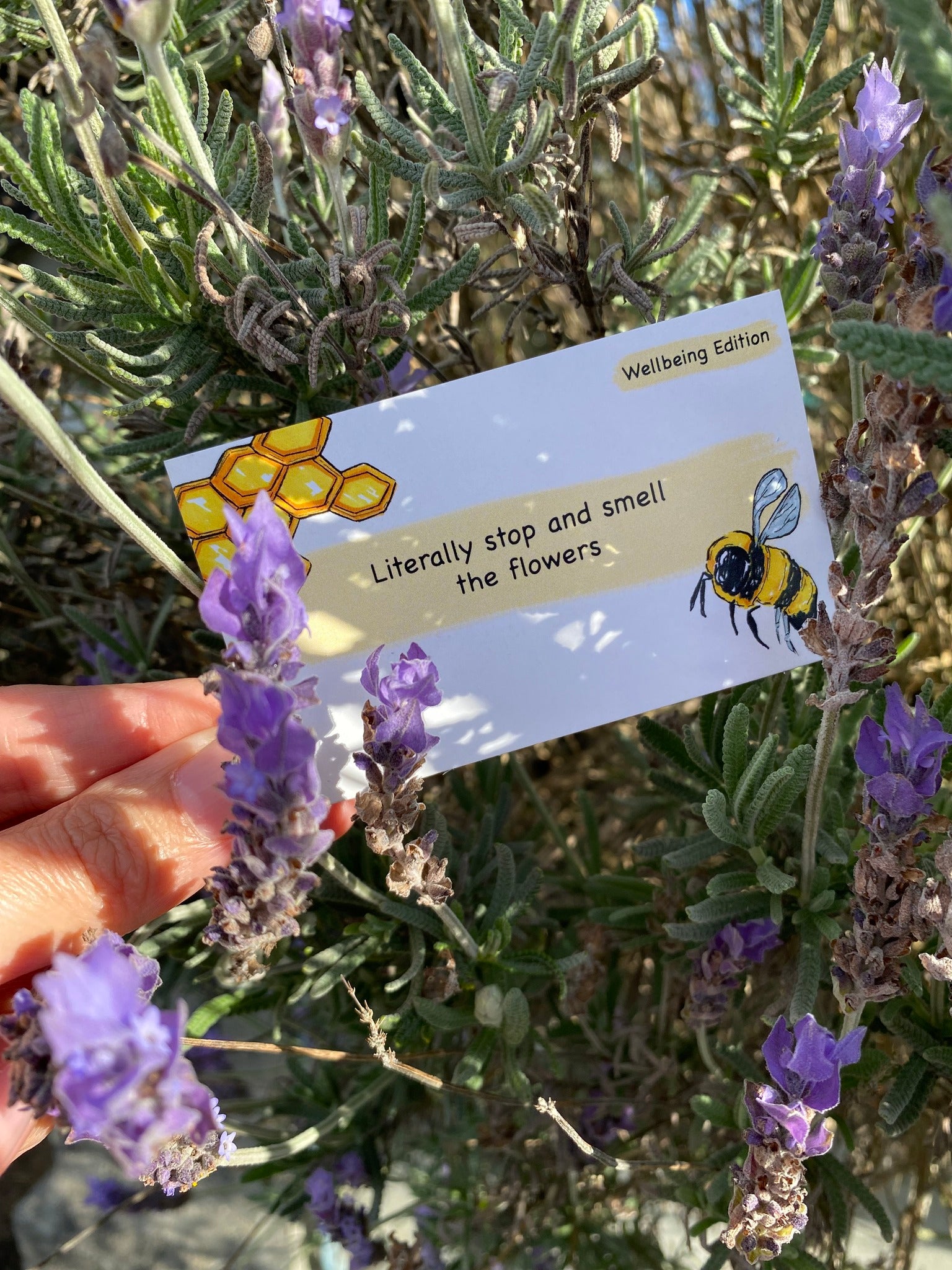 GETTING LOST WELLBEING EDITION