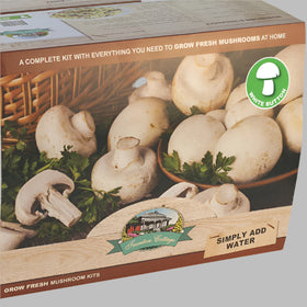 Mushroom growing kit packaging with white button mushrooms and text on a brown background
