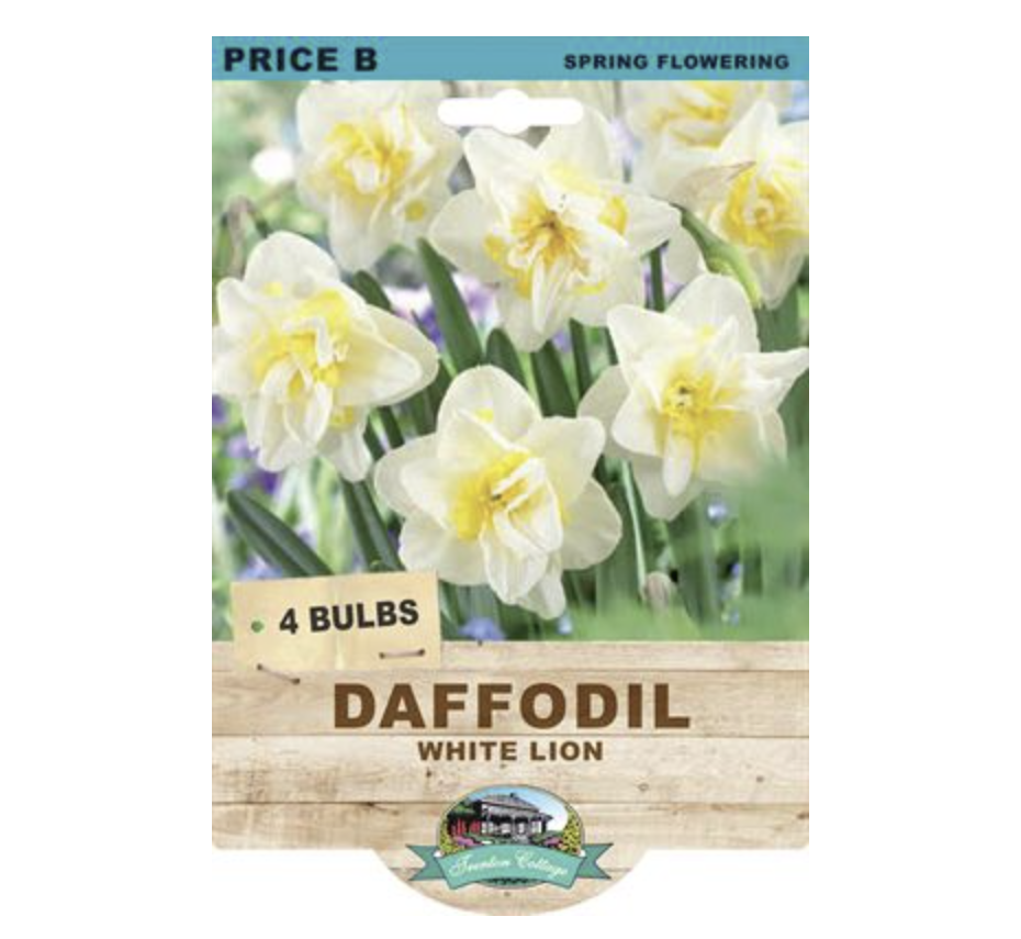 Packaging of Daffodil White Lion bulbs with flowers on a white background