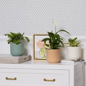 Three potted plants on a white dresser with a framed picture in the background.
