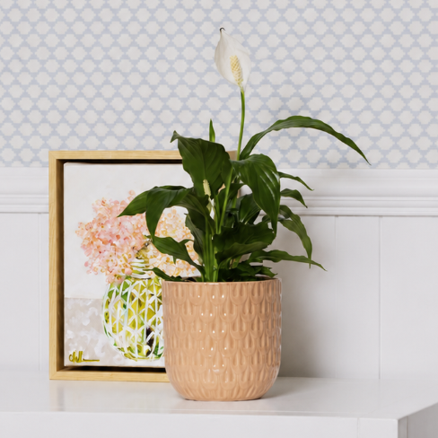 Potted plant and framed picture on a white dresser with geometric wallpaper.