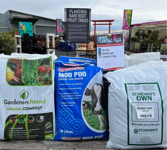 WINTER PLANTING PACK