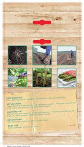 ASPARAGUS MARY WASHINGTON 2 PACK