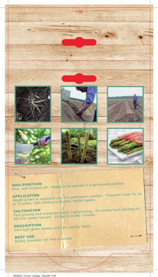 ASPARAGUS MARY WASHINGTON 2 PACK