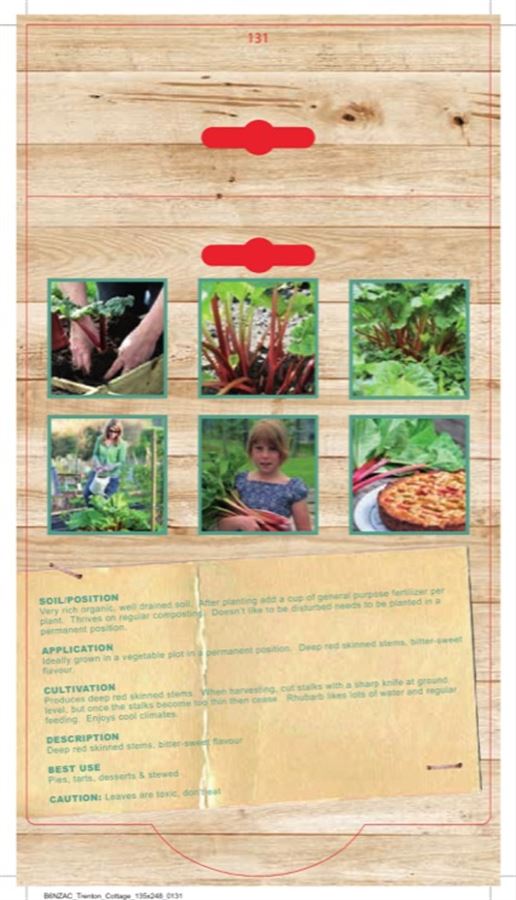 RHUBARB EVER RED 1 PACK