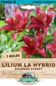 Bulbs