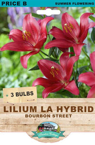 LILIUM BOURBON STREET