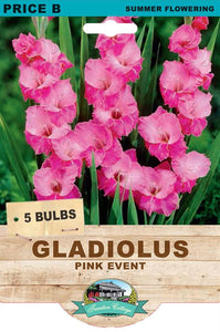 GLADIOLI PINK EVENT
