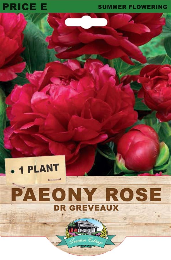 PAEONY DR GREVEAUX