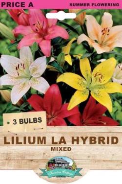 LILIUM BULB MIXED PACK OF 3