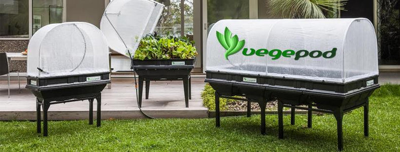 VEGEPOD - SMALL WITH COVER .5M X 1M