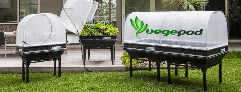 VEGEPOD - SMALL WITH COVER .5M X 1M