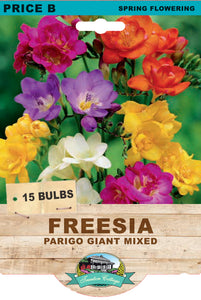 FREESIA GIANT PARIGO MIX 12PK