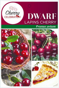 PRE ORDER -CHERRY DWARF LAPIN - BARE ROOTED