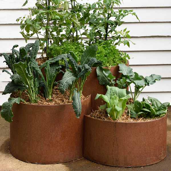 FormBoss Garden Rings - Stonemans Garden Centre