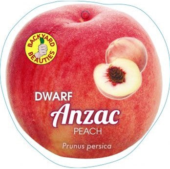 PRE ORDER - PEACH DWARF ANZAC - Bare Rooted